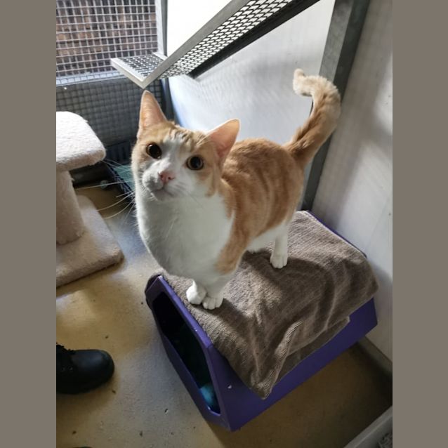 Photo of Billy