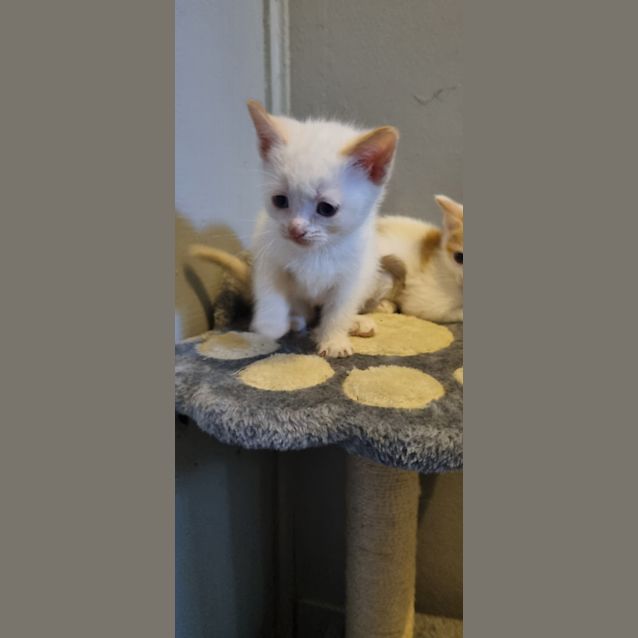 Photo of Sam