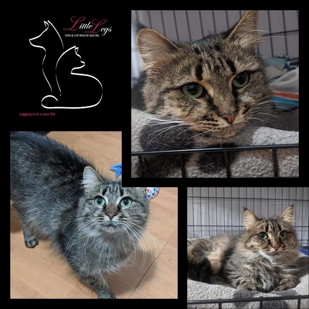 Photo of Celebration