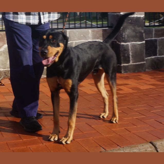 Photo of Gus