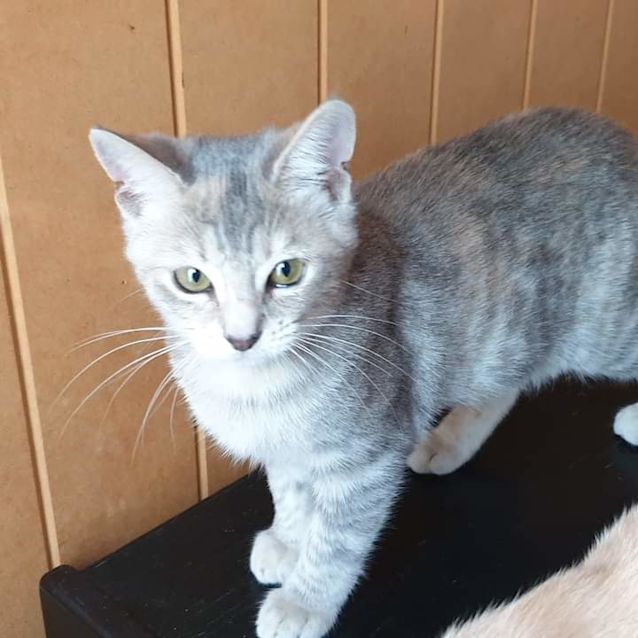 Photo of Ethel