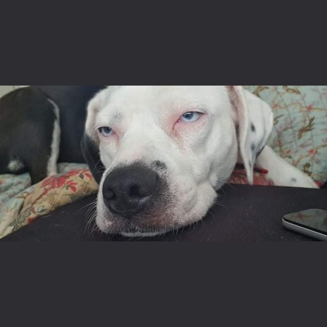 Photo of Bobbie
