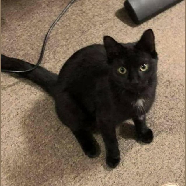 Photo of Frankfurt And Francis