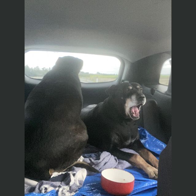 Photo of Tinkerbell And Pixie (Mother And Daughter)