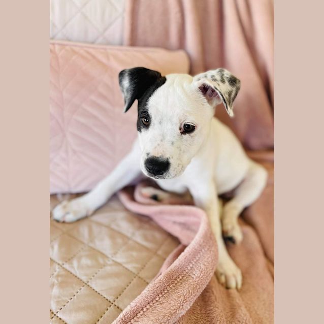 Photo of Elsa