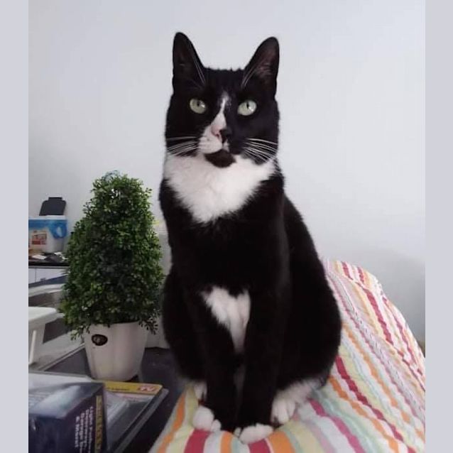 Photo of Lola Sweetness