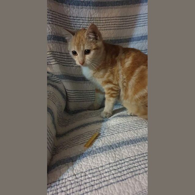 Photo of Mario 