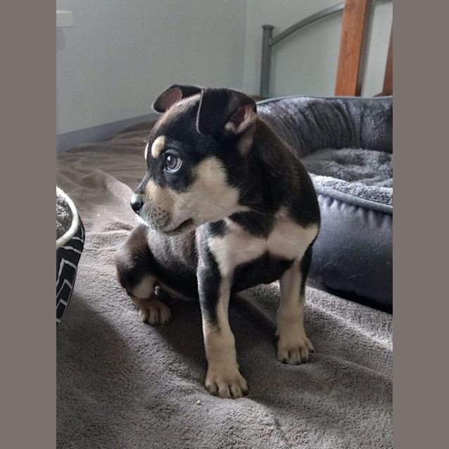 Photo of Missy