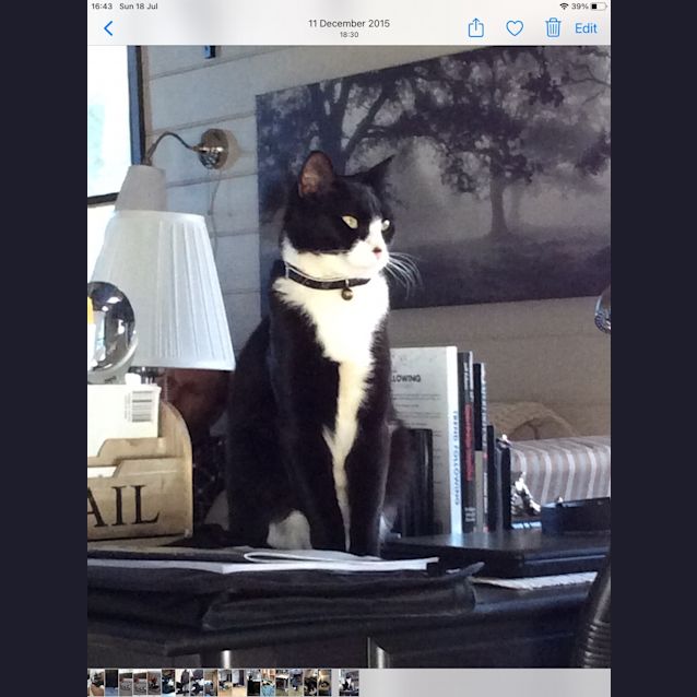 Photo of Turbo