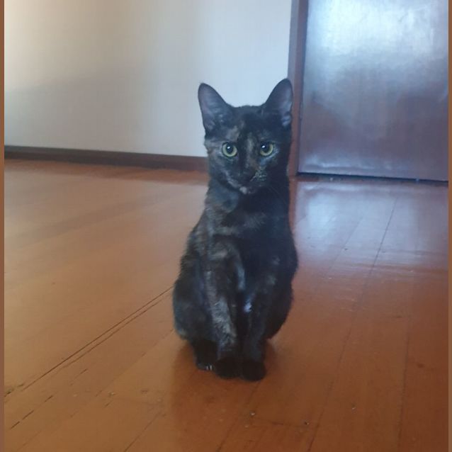 Photo of Julia