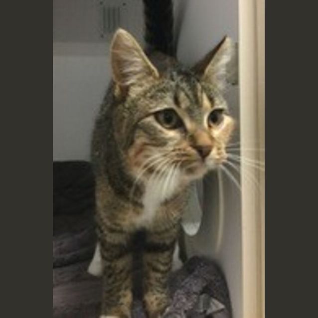Photo of Sally