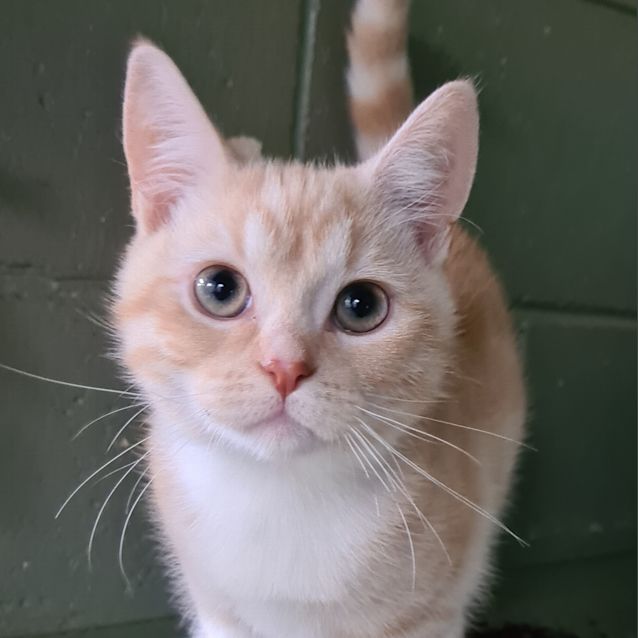 Photo of Charlie