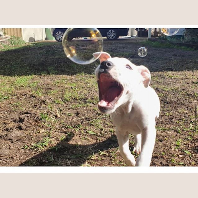 Photo of Cherub 👼 