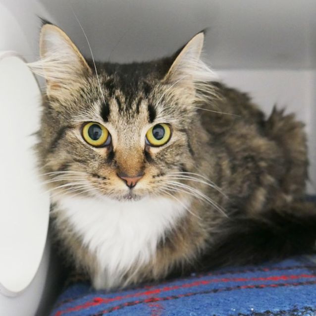 Photo of Matilda Sua008776