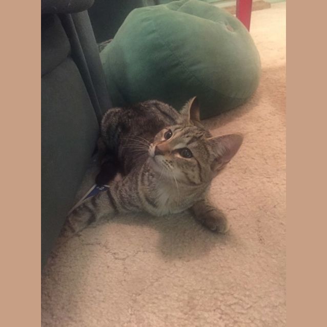 Photo of Memphis Belle