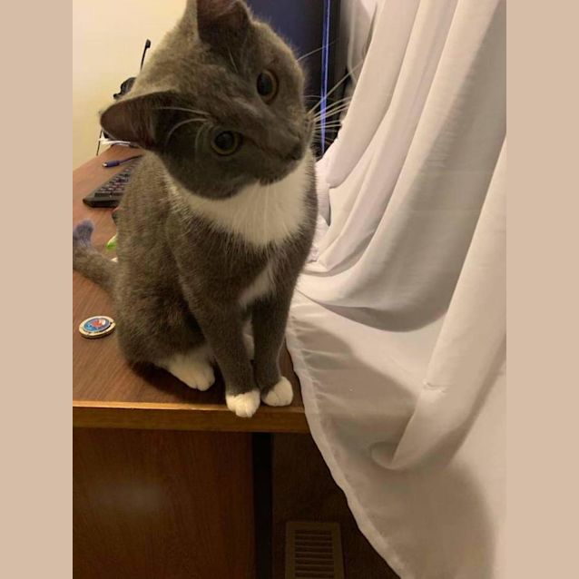 Photo of Bubbles