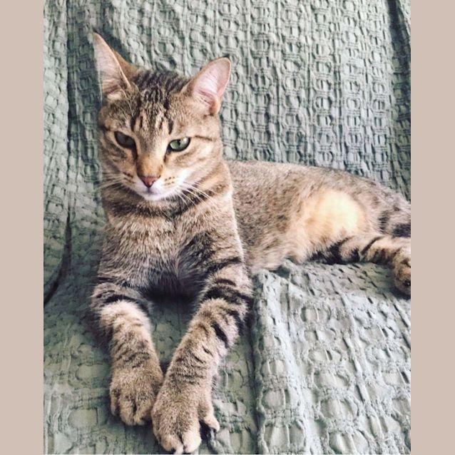 Photo of Kit