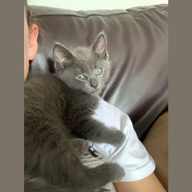 Photo of Obi