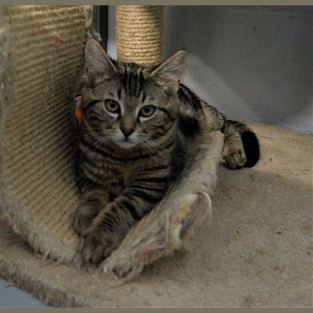 Photo of Chunk