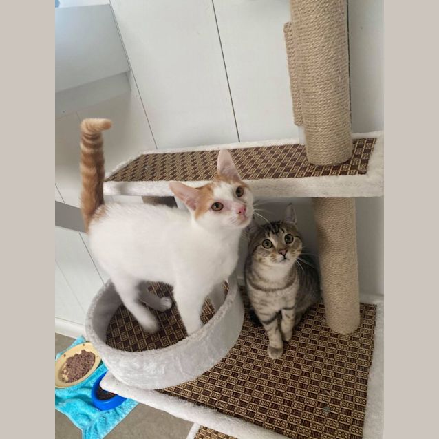 Photo of Darwin And Elwood