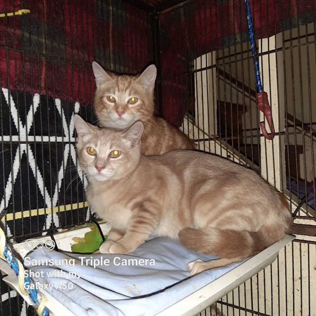 Photo of Micki And Nicki