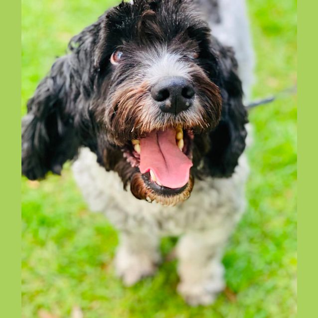 Photo of Max