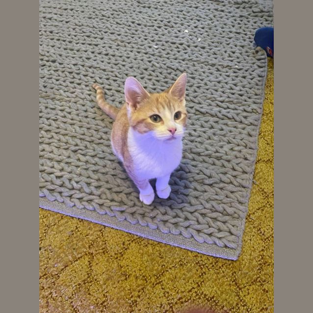 Photo of Daisy