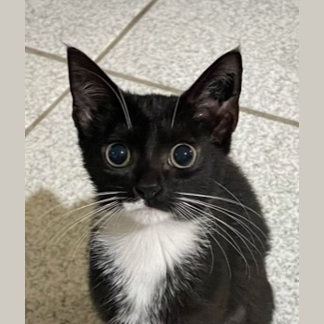 Photo of Missy