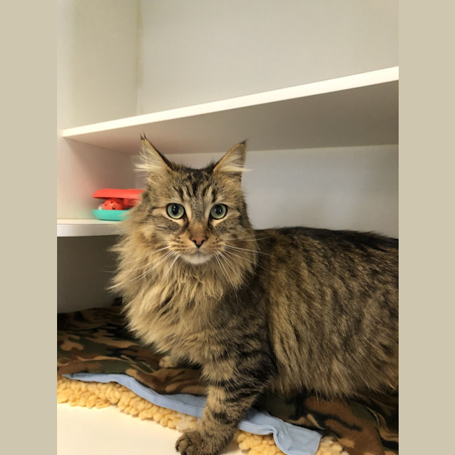 Photo of Abigail (Abby)