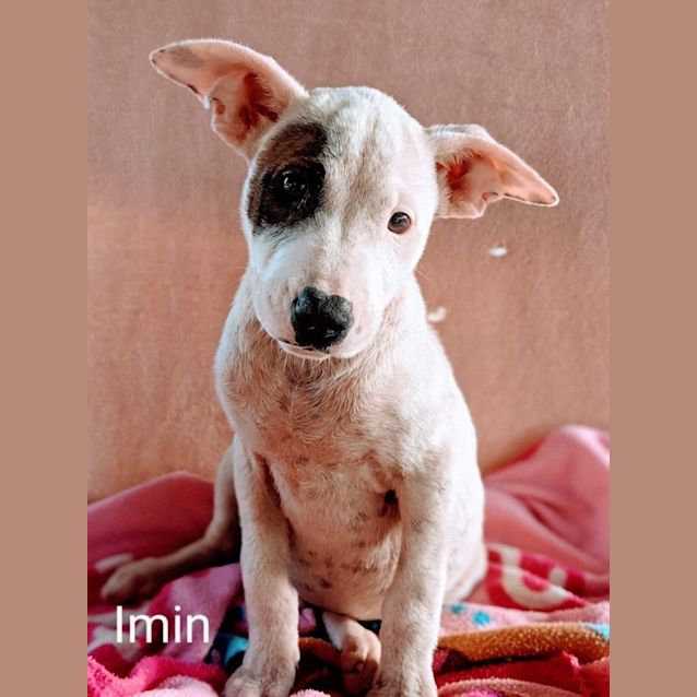 Photo of Imin