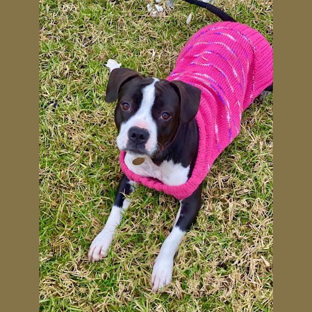 Photo of Molly