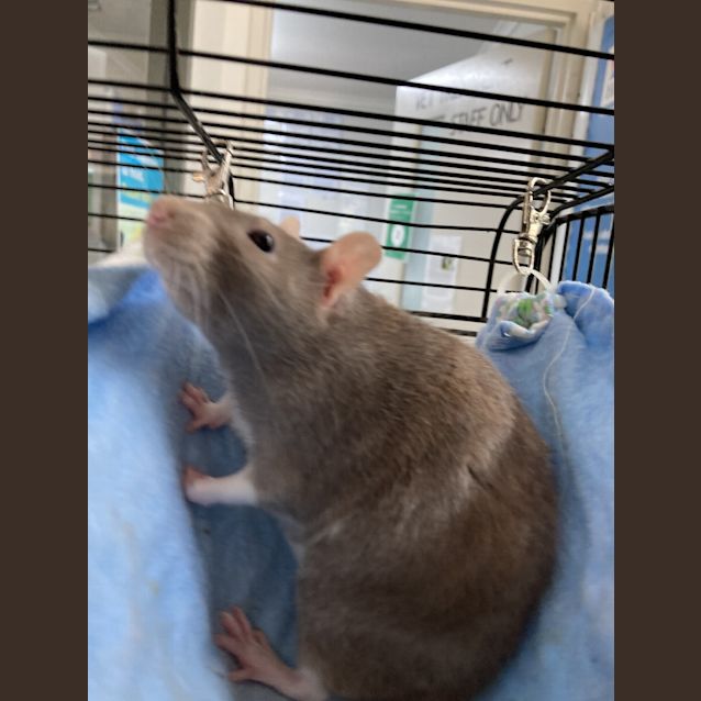 Photo of Charlotte