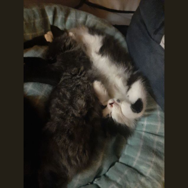 Photo of Captain Jack