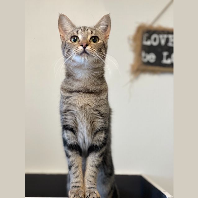 Photo of Matilda