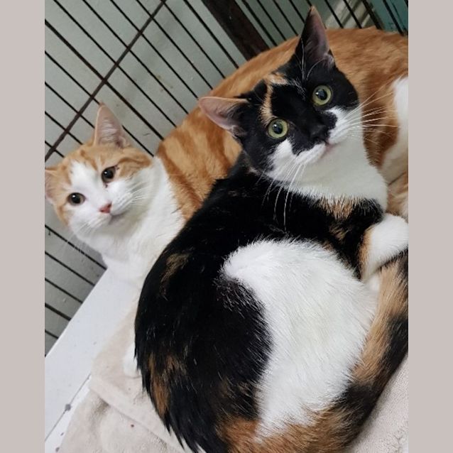 Photo of Audrey & Vanessa