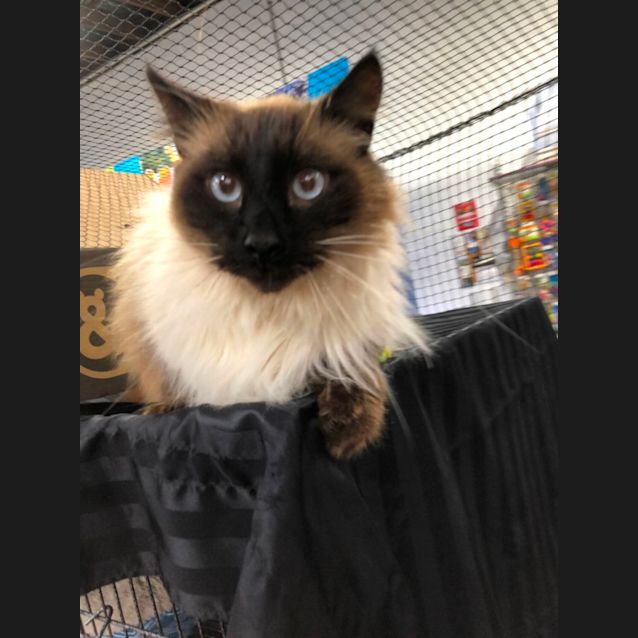 Photo of Ricky 