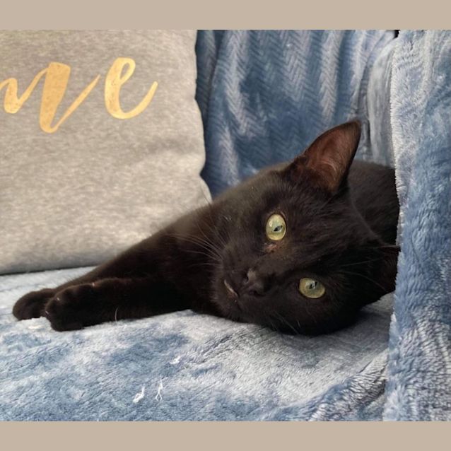 Photo of Stella & Bunny. Gentle Duo <3