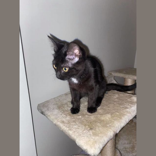Photo of Mabel