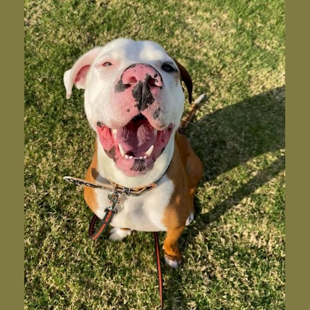 Photo of Neo