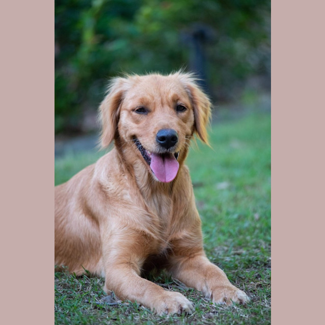 Photo of Winnie