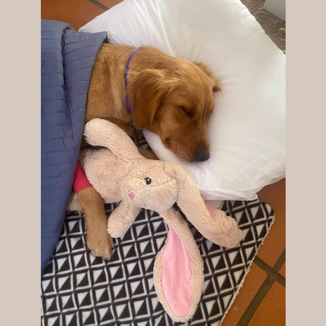 Photo of Winnie