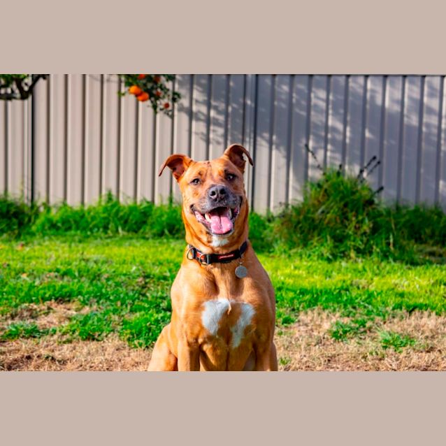 Photo of Belle