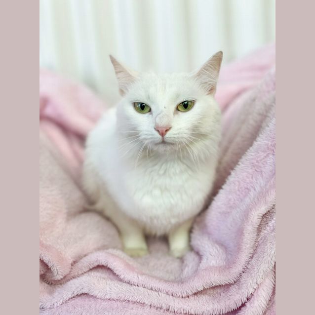 Photo of Luna