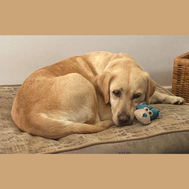 Photo of Bonnie