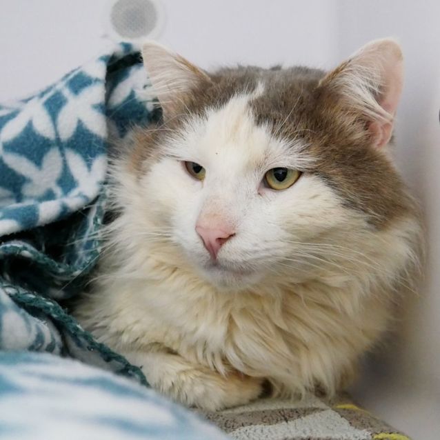 Photo of Paddy Sua008827