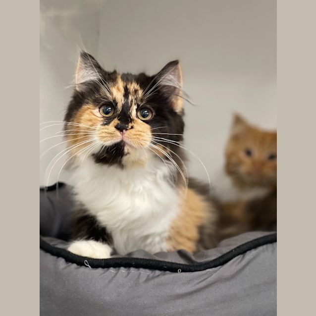 Photo of Alena