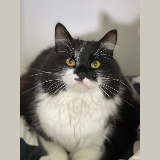 Photo of Taba