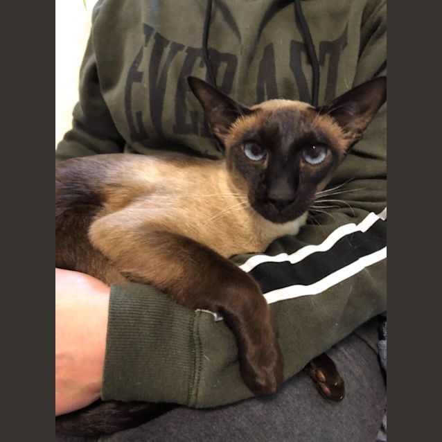 Photo of Summer Haze 🌺