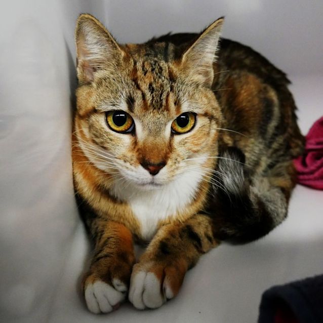 Photo of April Sta008791