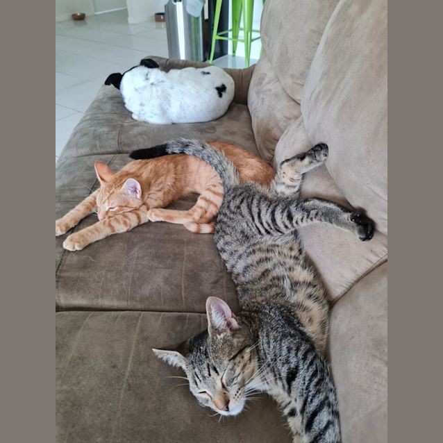 Photo of Harry & Giles